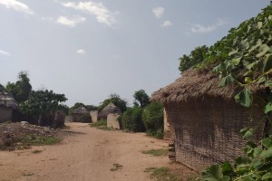 Saroudia 1